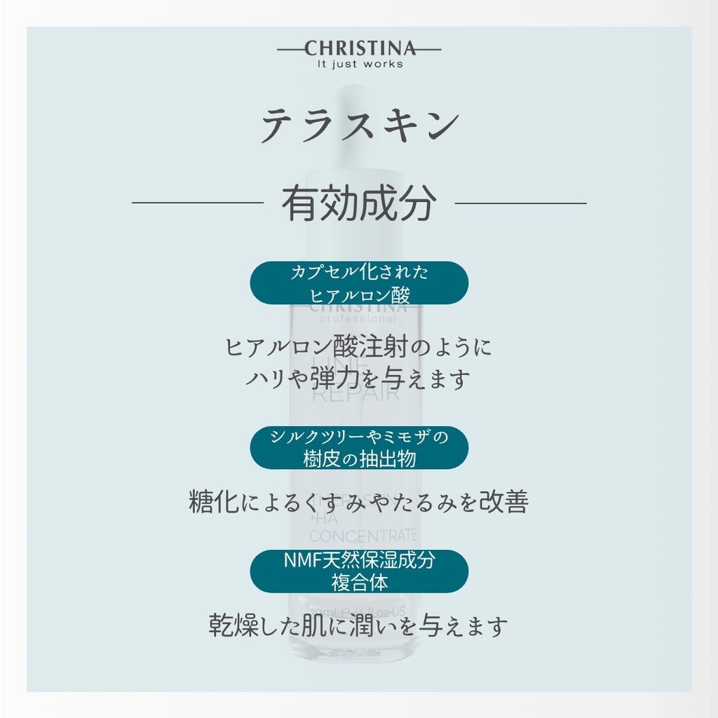 テラスキン