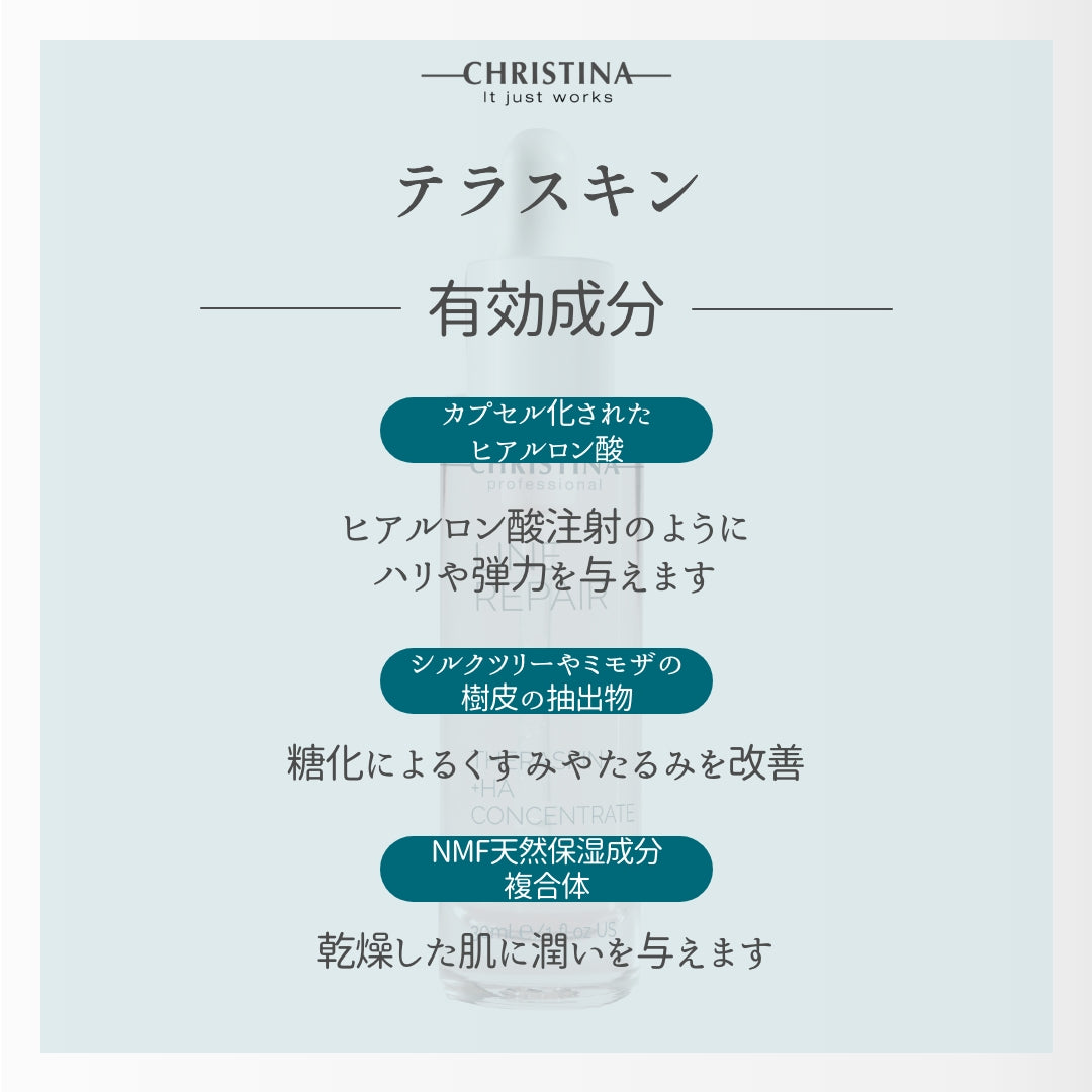 テラスキン